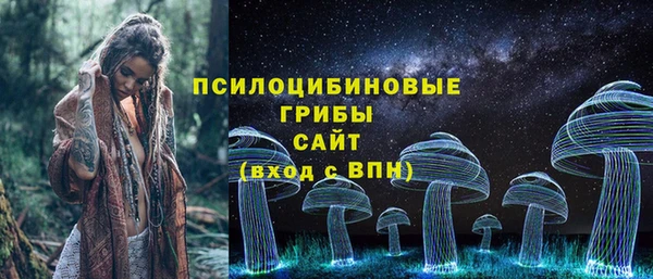 мескалин Бородино