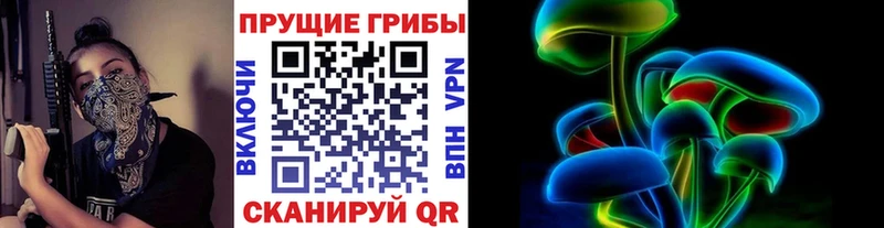 Псилоцибиновые грибы Psilocybine cubensis  Копейск 
