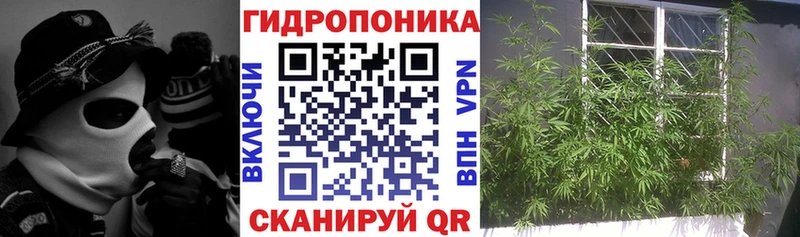 наркошоп  Копейск  Шишки марихуана индика 